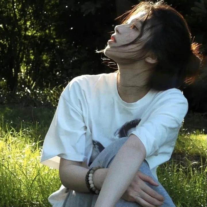 菜鸟囧探